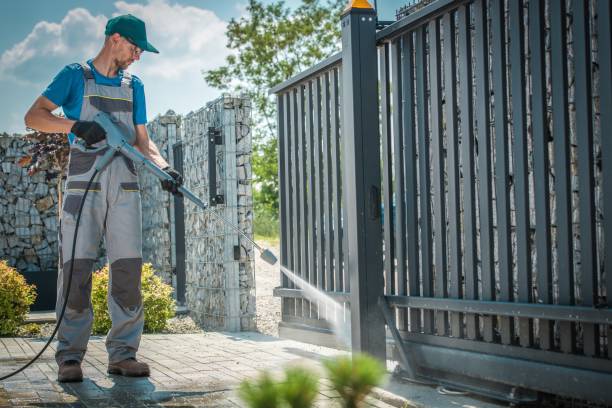 Best Roof Cleaning and Mildew Removal in Mount Prospect, IL