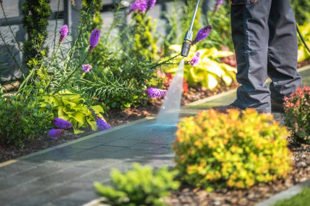 Reliable Mount Prospect, IL Pressure Washing Services Solutions