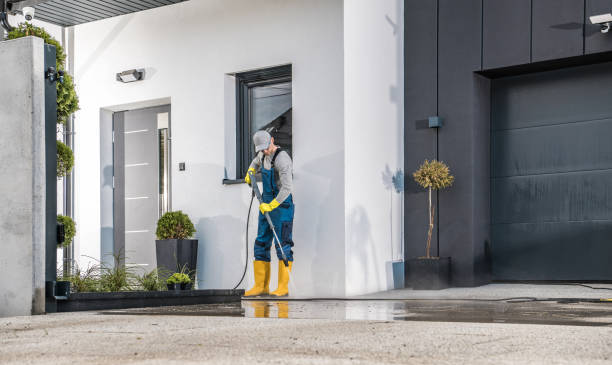 Best Vinyl Siding Pressure Washing in Mount Prospect, IL